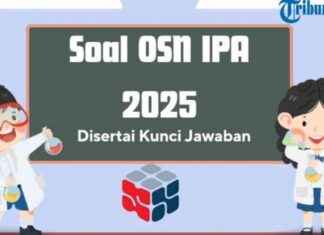 50 Science Olympiad Elementary School (SD) 2025 Questions and Answers for Practice 50-science-olympiad-elementary-school-sd-2025-questions-and-answers-for-practice