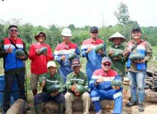 Boosting Rubber Farmers to Implement Agroforestry – boosting-rubber-farmers-to-mplement-agroforestry-jurnoid