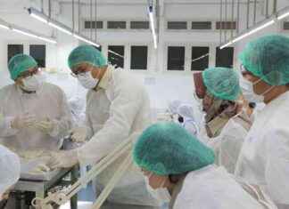 Boosting Swallow Nest Exports: Government’s Strategy for Economic Growth boosting-swallow-nest-exports-governments-strategy-for-economic-growth