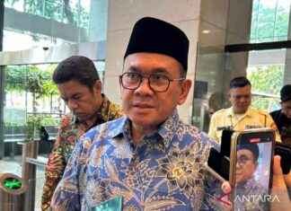 BRICS Membership Boosting Exports: Trade Minister’s Expectations brcs-membership-boosting-exports-trade-ministers-expectations