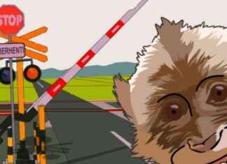 Causes of Train Accidents Linked to Blind Devil – causes-of-train-accidents-linked-to-blind-devil-jurnoid