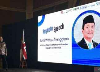 Collaborating for Marine Conservation: Indonesia’s Global Efforts collaborating-for-marine-conservation-ndonesias-global-efforts