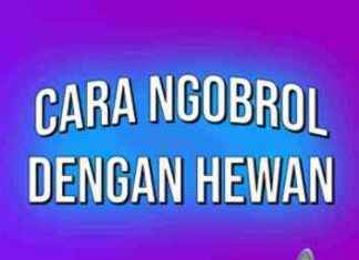 Communicating with Animals: Understanding the Phenomenon of Animal Communicators communicating-with-animals-understanding-the-phenomenon-of-animal-communicators