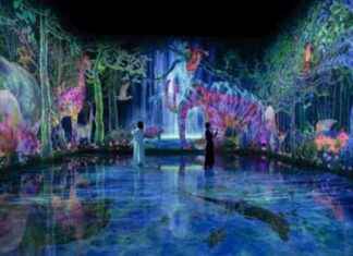 Discover teamLab Planets TOKYO’s New Attractions: Catching and Collecting Forest and Athletics Forest. Opening January 22 discover-teamlab-planets-tokyos-new-attractions-catching-and-collecting-forest-and-athletics-forest-opening-january-22