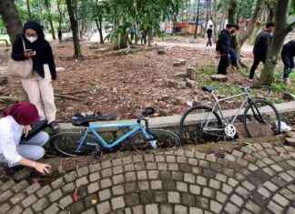 Discover the Coin Hunting Event at Taman Menteng in Central Jakarta – discover-the-coin-hunting-event-at-taman-menteng-in-central-jakarta-tribunnewscom