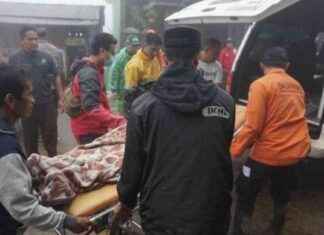 Discovery of Baby Victim of Landslide in Pekalongan, Body Stuck in Bamboo Tree – discovery-of-baby-victim-of-landslide-in-pekalongan-body-stuck-in-bamboo-tree-tribunnewscom