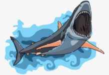 Endless Shark Fin Trade in Indonesia – endless-shark-fin-trade-in-ndonesia-jurnoid