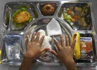 Expanding Free Meals Program with US$6.2 Billion Budget Allocation expanding-free-meals-program-with-us62-billion-budget-allocation