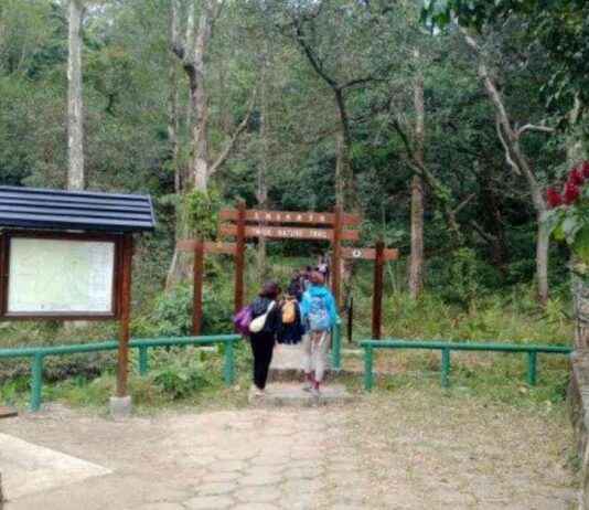 Exploring Tai Mo Shan Forest Market in Hong Kong – exploring-tai-mo-shan-forest-market-in-hong-kong-tribunnewscom