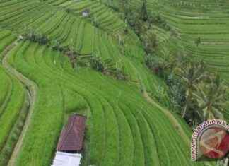 Forecast: Bali Aims for 6.5 Million Foreign Tourists by 2025 forecast-bali-aims-for-65-million-foreign-tourists-by-2025