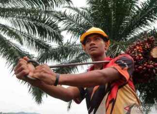 Government Aligns Job Openings with Worker Migration Goals: A Strategic Mapping Approach government-aligns-job-openings-with-worker-migration-goals-a-strategic-mapping-approach