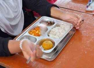 Health Risks of MBG Chicken Menu at SD N 3 Dukuh Sukoharjo, Prompting Immediate Withdrawal – health-risks-of-mbg-chicken-menu-at-sd-n-3-dukuh-sukoharjo-prompting-mmediate-withdrawal-tribunnewscom