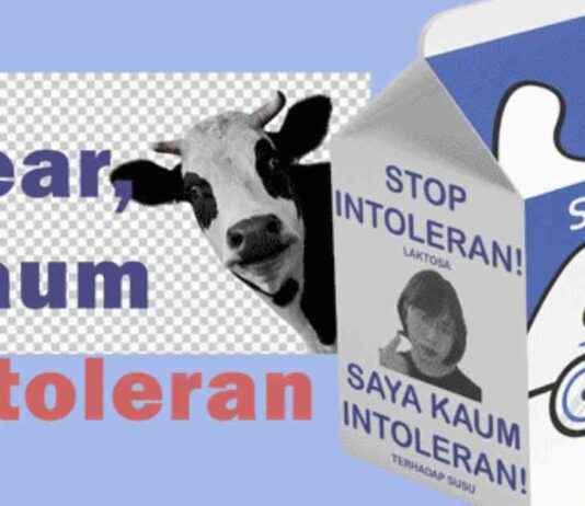 How to Drink Milk If You Are Lactose Intolerant how-to-drink-milk-f-you-are-lactose-ntolerant