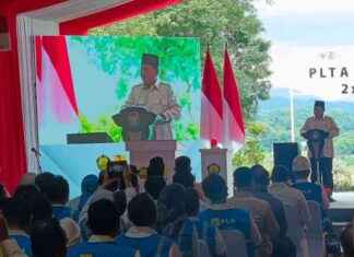 Jokowi’s Contributions to Electricity Infrastructure Praised by Prabowo jokowis-contributions-to-electricity-nfrastructure-praised-by-prabowo
