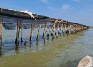 Legal Counsel Disputes 30 Km Sea Fence in Tangerang Waters Related to PSN PIK 2 legal-counsel-disputes-30-km-sea-fence-in-tangerang-waters-related-to-psn-pk-2