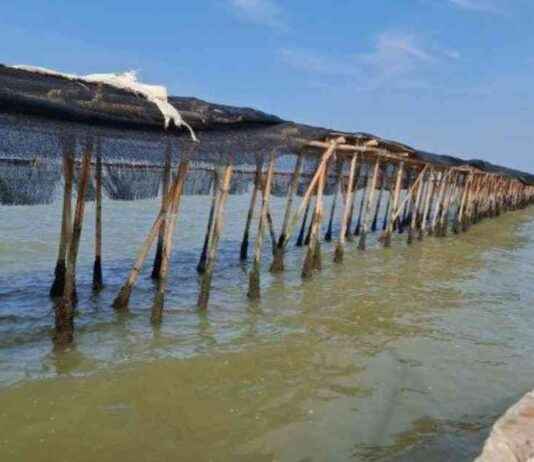 Legal Counsel Disputes 30 Km Sea Fence in Tangerang Waters Related to PSN PIK 2 legal-counsel-disputes-30-km-sea-fence-in-tangerang-waters-related-to-psn-pk-2