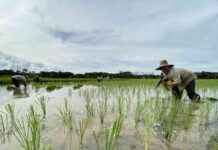 Importance of Agricultural Transformation: Government’s Focus and Initiatives mportance-of-agricultural-transformation-governments-focus-and-nitiatives