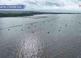 Mysterious 30 Km Coastal Barrier in Tangerang Disrupts Fishermen, Aerial View Revealed mysterious-30-km-coastal-barrier-in-tangerang-disrupts-fishermen-aerial-view-revealed