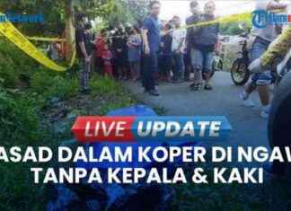 Mystery Surrounding Woman’s Body Found in Suitcase in Ngawi: Victim from Blitar Working in Tulungagung – mystery-surrounding-womans-body-found-in-suitcase-in-ngawi-victim-from-blitar-working-in-tulungagung-tribunnewscom