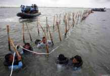Indonesian Authorities Remove 18.7km of Illegal Sea Fence in Banten ndonesian-authorities-remove-187km-of-llegal-sea-fence-in-banten