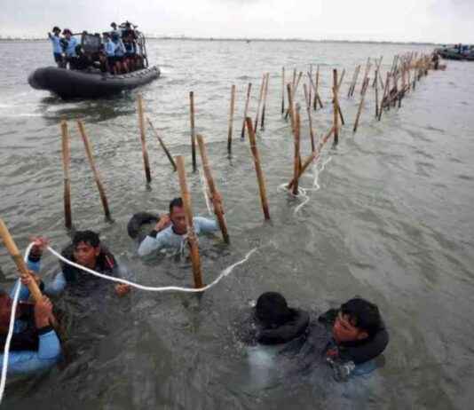 Indonesian Authorities Remove 18.7km of Illegal Sea Fence in Banten ndonesian-authorities-remove-187km-of-llegal-sea-fence-in-banten