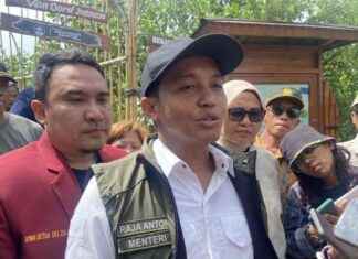 Intercropping in Forests: Government Initiative for Food Security ntercropping-in-forests-government-nitiative-for-food-security