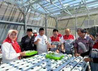 Pertamina Energi Terminal Launches Sustainable Food Security Program in Cilegon – pertamina-energi-terminal-launches-sustainable-food-security-program-in-cilegon-jurnoid
