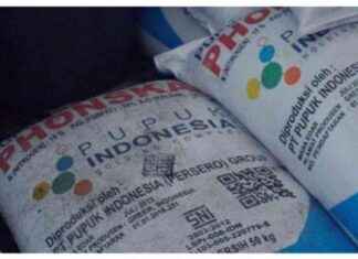 Petani di Lombok Keluhkan Harga Pupuk Mahal: Penjelasan Mentan Amran – Tribunnews petani-di-lombok-keluhkan-harga-pupuk-mahal-penjelasan-mentan-amran-tribunnews