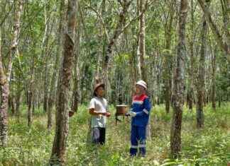 PGN’s 4 Outstanding Adopted Villages: Social Innovation Initiatives – pgns-4-outstanding-adopted-villages-social-nnovation-nitiatives-jurnoid