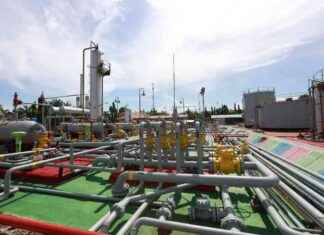 PHE Achieves Outstanding Performance in Q3-2024, Producing 1,046 Million Barrels of Oil Equivalent per Day – phe-achieves-outstanding-performance-in-q3-2024-producing-1046-million-barrels-of-oil-equivalent-per-day-jurnoid