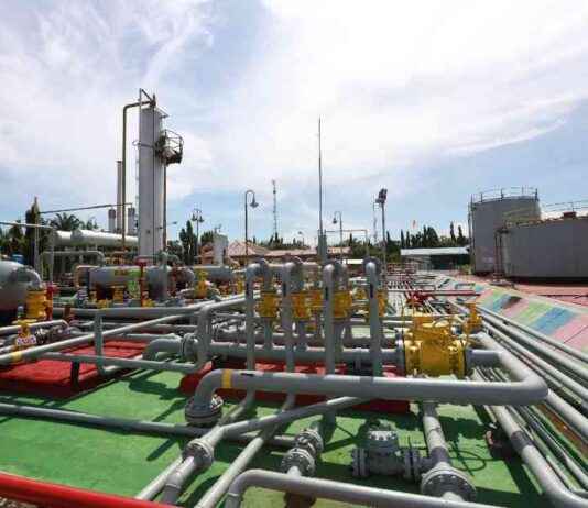 PHE Achieves Outstanding Performance in Q3-2024, Producing 1,046 Million Barrels of Oil Equivalent per Day – phe-achieves-outstanding-performance-in-q3-2024-producing-1046-million-barrels-of-oil-equivalent-per-day-jurnoid