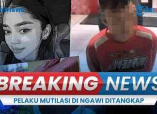 Police Arrest Suspected Murderer of Woman in Suitcase, Car Broker Selling Fake Cars – News Update police-arrest-suspected-murderer-of-woman-in-suitcase-car-broker-selling-fake-cars-news-update