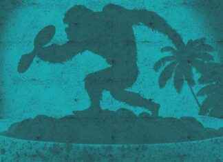 Protecting Monkey and Gibbon Populations in Indonesia: Monkey Conservation Efforts – protecting-monkey-and-gibbon-populations-in-ndonesia-monkey-conservation-efforts-jurnoid