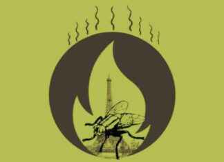 Reducing Carbon Emissions: Paris 2024 Olympics Sustainability Efforts reducing-carbon-emissions-paris-2024-olympics-sustainability-efforts