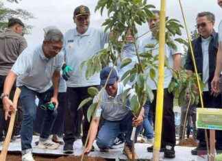 Restoring Ciliwung River: Indonesia’s Ministry Plants 2,450 Trees restoring-ciliwung-river-ndonesias-ministry-plants-2450-trees