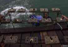 Revolutionary Institute and United States finalizes debt transfer for coral reef preservation revolutionary-nstitute-and-united-states-finalizes-debt-transfer-for-coral-reef-preservation