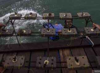 Revolutionary Institute and United States finalizes debt transfer for coral reef preservation revolutionary-nstitute-and-united-states-finalizes-debt-transfer-for-coral-reef-preservation