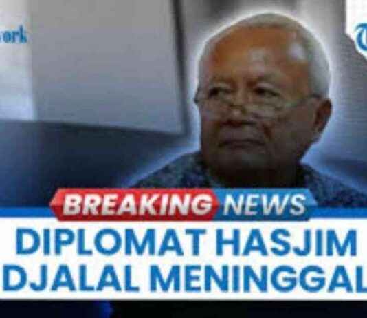Senior Diplomat Hasjim Djalal Passes Away – senior-diplomat-hasjim-djalal-passes-away-tribunnewscom