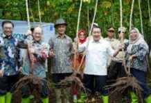 Singkong Cikarawang: Bahan Baku Bioplastik Ramah Lingkungan – Produk Sampai Jepang singkong-cikarawang-bahan-baku-bioplastik-ramah-lingkungan-produk-sampai-jepang