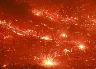 Israel’s Post on Los Angeles Forest Fire Sparks Strong Reaction Amid Gaza War – sraels-post-on-los-angeles-forest-fire-sparks-strong-reaction-amid-gaza-war-tribunnewscom