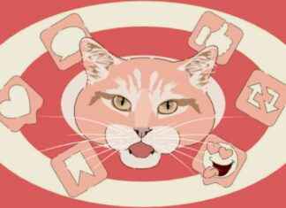 Street Cat Survival Guide: Tips for Thriving and Overcoming Challenges street-cat-survival-guide-tips-for-thriving-and-overcoming-challenges