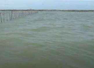 Testimony of Fishermen about Installing Sea Fences: Done from Morning to Afternoon, Using Small Boats – testimony-of-fishermen-about-nstalling-sea-fences-done-from-morning-to-afternoon-using-small-boats-tribunnewscom