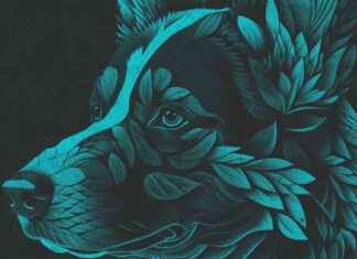 The Connection Between a Dog’s Sense of Smell and Sight – the-connection-between-a-dogs-sense-of-smell-and-sight-jurnoid