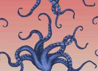 The Inevitable End of the World and Humanity – the-nevitable-end-of-the-world-and-humanity-jurnoid