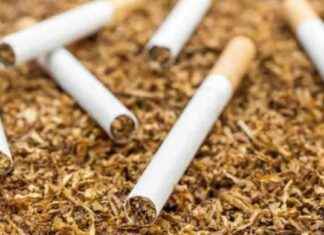 The Potential Growth of Illegal Cigarettes Highlighted by Komisi XI DPR Due to Standardized Packaging Regulations – the-potential-growth-of-llegal-cigarettes-highlighted-by-komisi-x-dpr-due-to-standardized-packaging-regulations-tribunnewscom