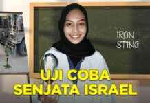 The Secret of Iron Sting in Israel Weapon Test – the-secret-of-ron-sting-in-srael-weapon-test-jurnoid