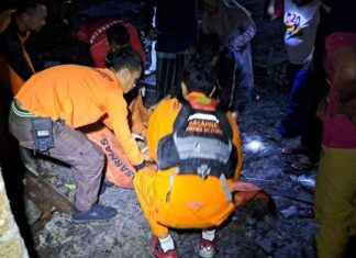 Tragic Crocodile Attack Claims Life of Five-Year-Old in Indonesia’s Bangka tragic-crocodile-attack-claims-life-of-five-year-old-in-ndonesias-bangka