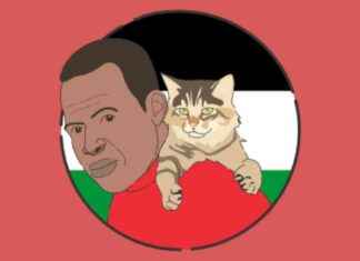 Tragic Fate of Anabul in Palestine: A Heartbreaking Story – tragic-fate-of-anabul-in-palestine-a-heartbreaking-story-jurnoid