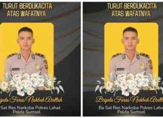 Uncovering the Drug Dealer Behind the Murder of Bripda Faras in Lahat: Police Seize 1 Kg of Marijuana uncovering-the-drug-dealer-behind-the-murder-of-bripda-faras-in-lahat-police-seize-1-kg-of-marijuana