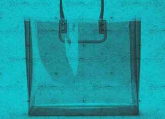 Understanding Bioplastics and Their Environmental Impact: What You Need to Know – understanding-bioplastics-and-their-environmental-mpact-what-you-need-to-know-jurnoid